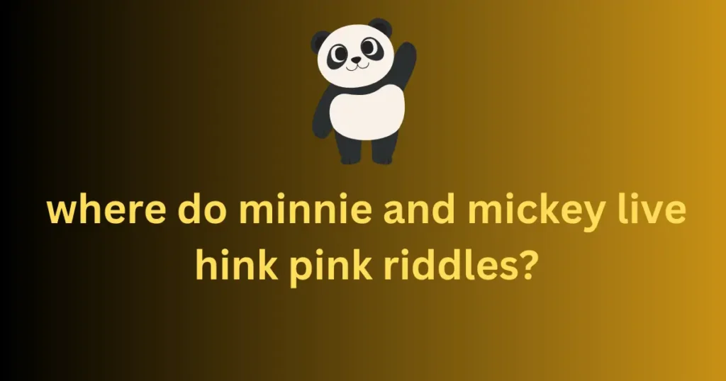 where do minnie and mickey live hink pink riddles