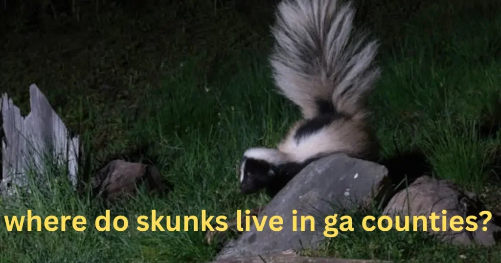 where do skunks live in ga counties